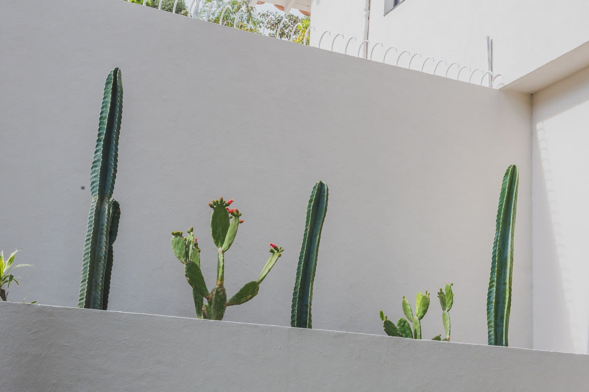 Casa Lienzo — foto 4