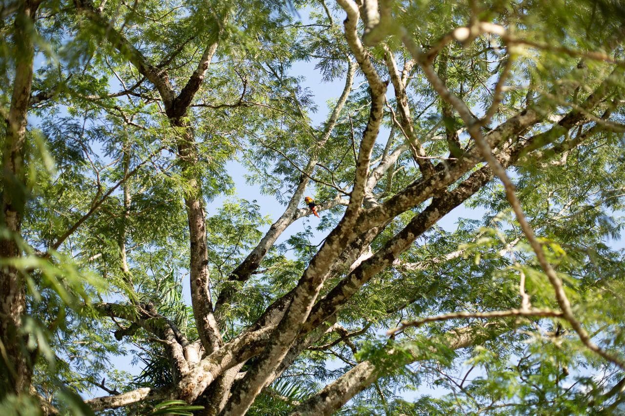 Finca Farallones — foto 37