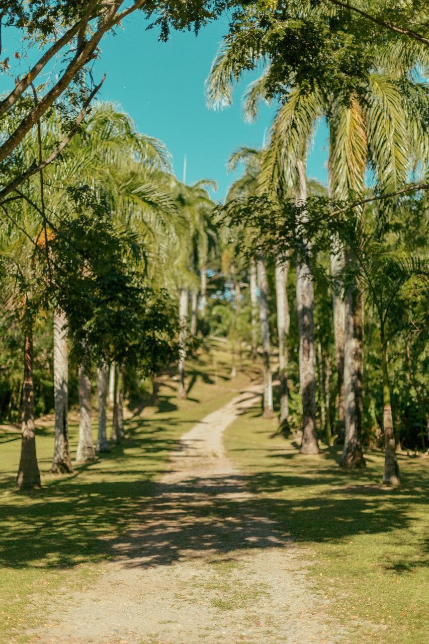 Finca Farallones — foto 40