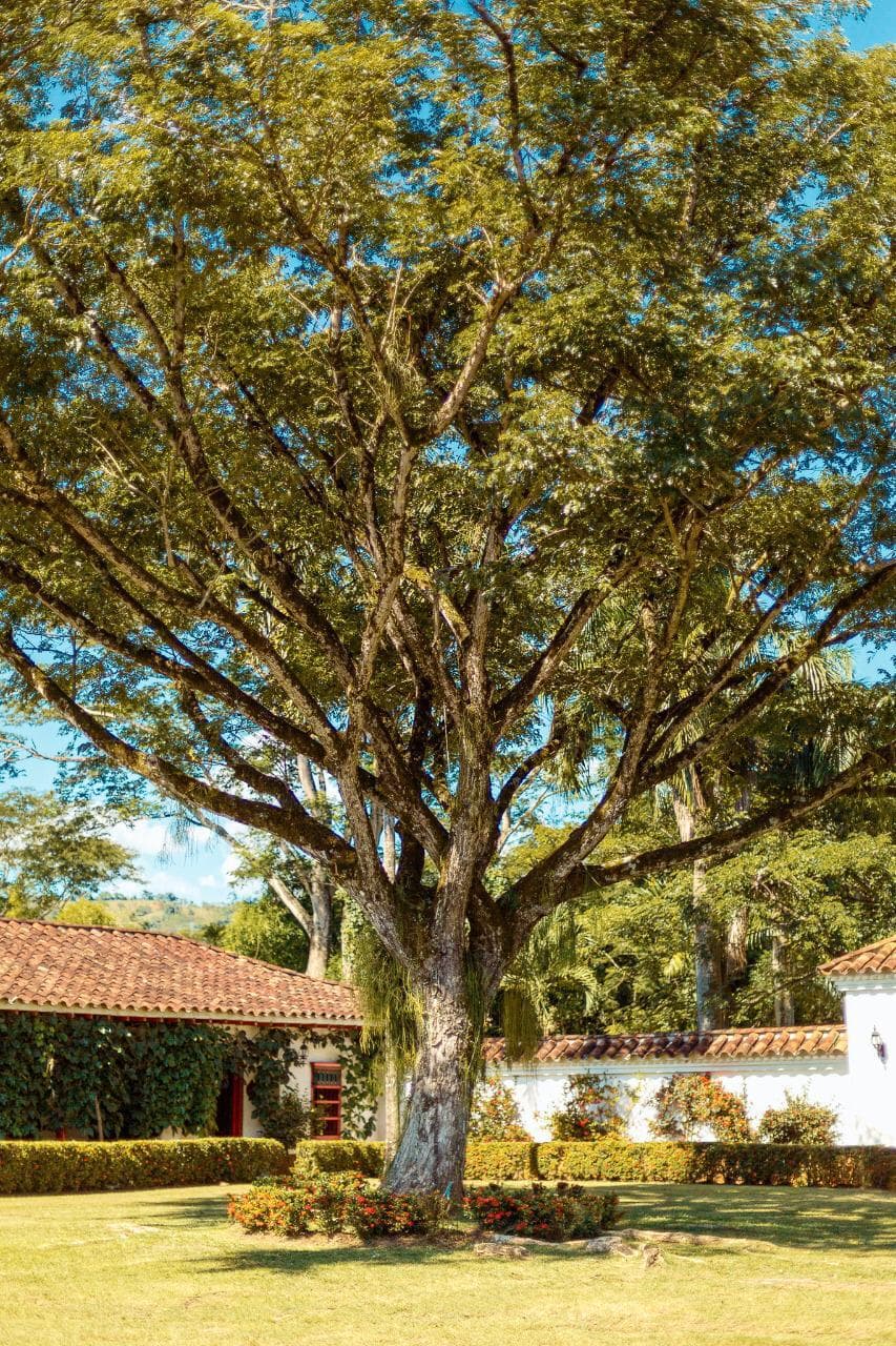 Finca Farallones — foto 42