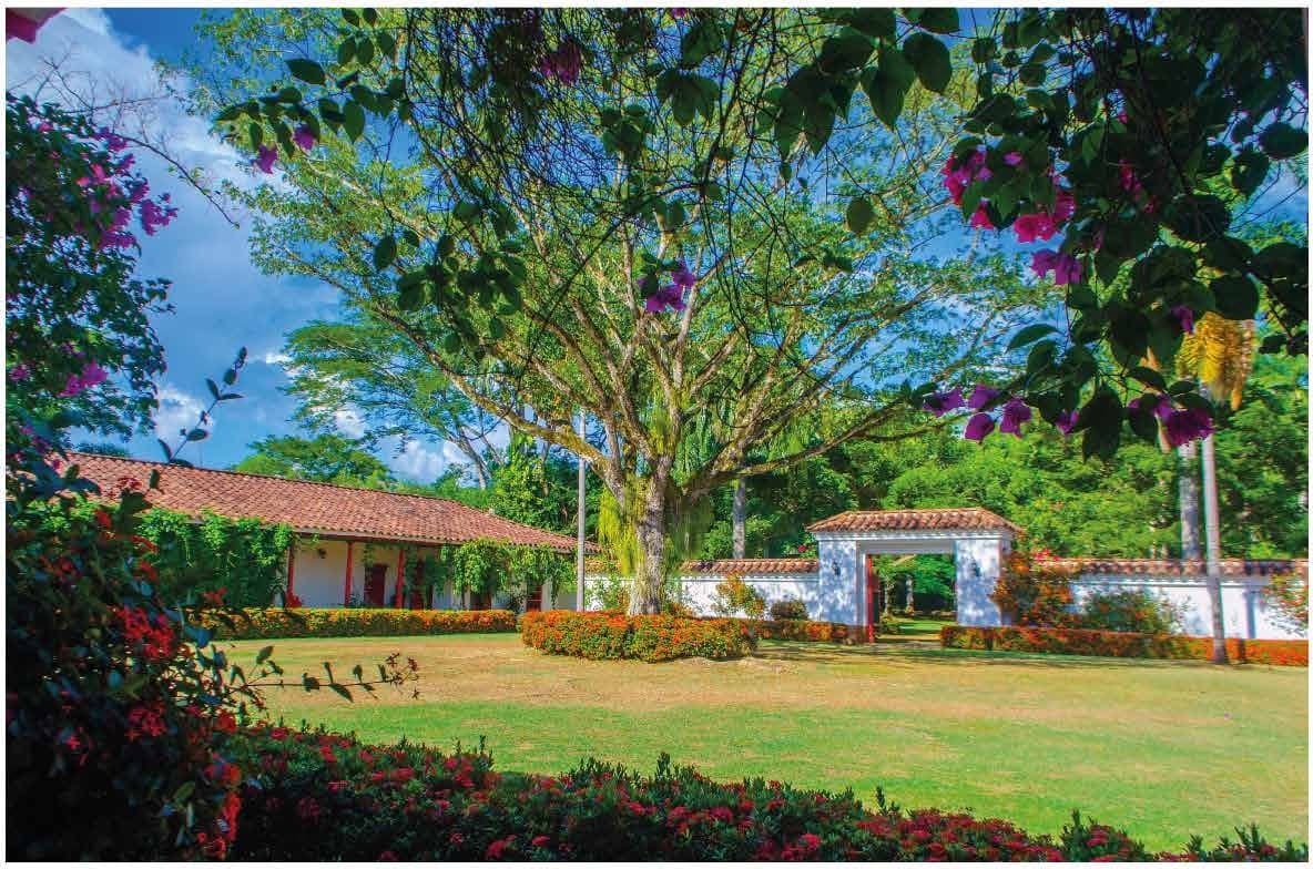 Finca Farallones — foto 6